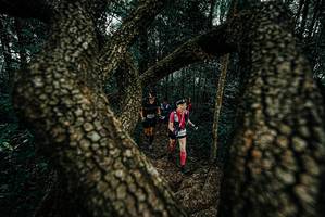 BIB: 
                            <button type="button" onclick="openModal(25681721)" class="btn btn-primary btn-sm float-right btn-popup" data-toggle="modal" data-target=".modal-high-quality">
                        <i class="fas fa-shopping-cart"></i> Add to Cart
                    </button>
                                            <button type="button" onclick="isThisMe(25681721, true)" class="btn btn-success btn-sm float-right btn-popup btn-isme hidden" data-toggle="tooltip" data-placement="bottom" title="นี่คือรูปของคุณใช่ไหม คลิกที่นี่เพื่อเอาเข้าอัลบั้ม">
                        <i class="fas fa-plus"></i> Add to album
                    </button>
                    <button type="button" onclick="isThisMe(25681721, false)" class="btn btn-warning btn-sm float-right btn-popup btn-isnotme hidden">
                        <i class="fas fa-ban"></i> Remove from album
                    </button>